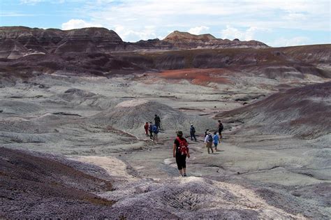 A Prehistoric Paradise: Camping the Petrified Forest National Park