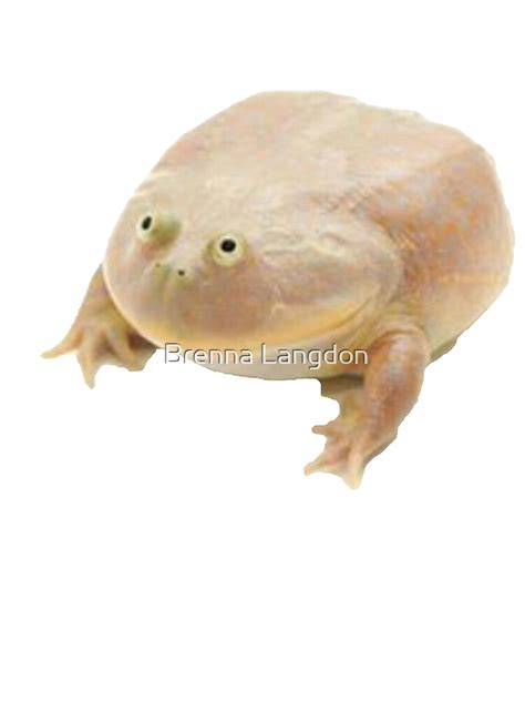 "Fat Frog Meme" Poster by Bl10728 | Redbubble