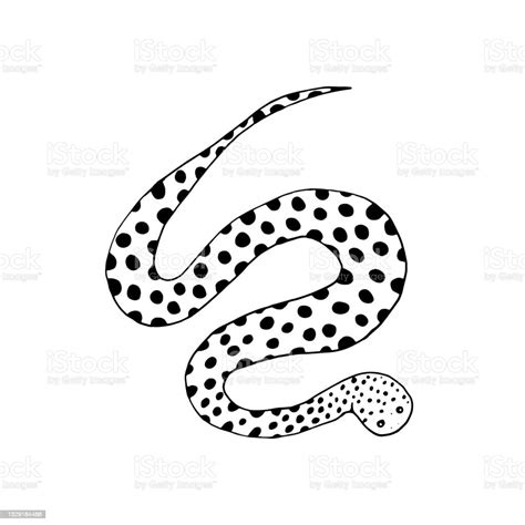 Bitis Vector Illustration Stock Illustration - Download Image Now ...