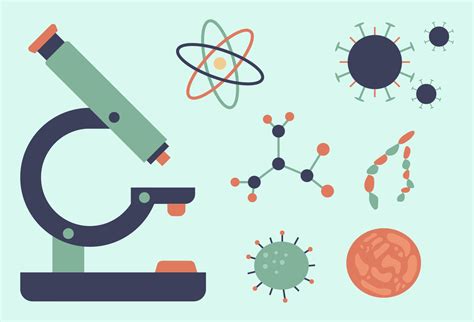 Biology Vector Art, Icons, and Graphics for Free Download