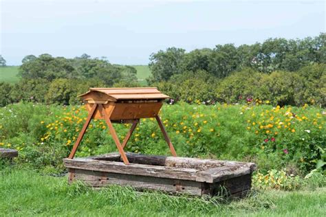 All About Top Bar Hives: One of the Best Hives for Beekeepers - Minneopa Orchards