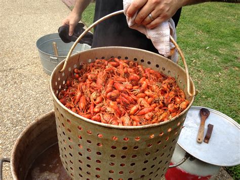 In Louisiana, Easter means boiled crawfish – Hungry for Louisiana