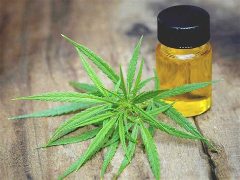 CBD Oil for Anxiety: Is it Effective? Must Know Things About CBD Oil