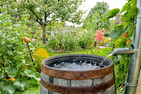 5 Advantages and Disadvantages of Rainwater Harvesting – Fresh Water ...