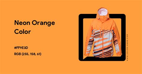 Neon Orange color hex code is #FF9E3D