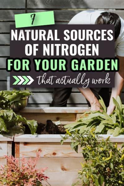 7 natural sources of nitrogen for your garden | Grow Where You Sow