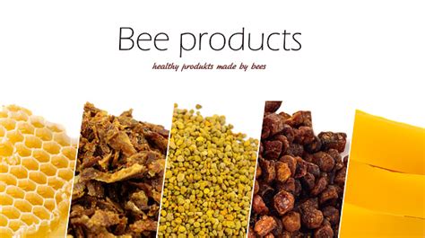 A Variety Of Bee Products Honey Pollen Propolis Bee Bread Wax Apitherapy Healthy Products Made ...