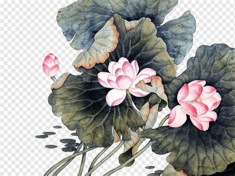 Pink lotus flowers illustration, China Flower Chinese painting Chinese ...