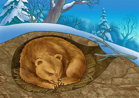 4 Ways Global Warming Can Affect Hibernating Mammals | by Dr. Erlijn van Genuchten | The ...