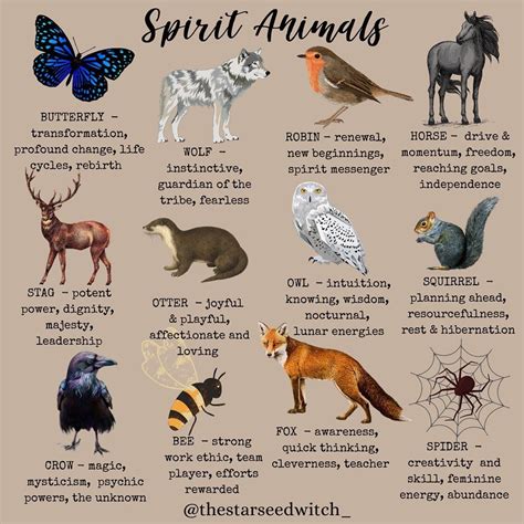 Ultimate guide to spirit animals power animals totems – Artofit