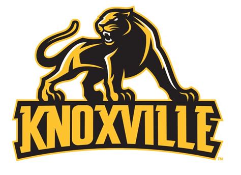 Pearson Confident Shooting Will Improve For Knoxville Boys Basketball ...