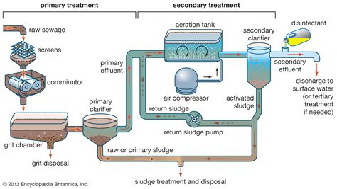 Septic Tank – Sewage Treatment Plants Bring Safety to Public Health and ...