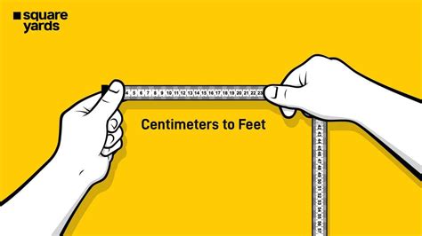 Convert Centimeter to Feet - 1 cm to ft | cm to ft