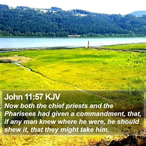 John 11 Scripture Images - John Chapter 11 KJV Bible Verse Pictures