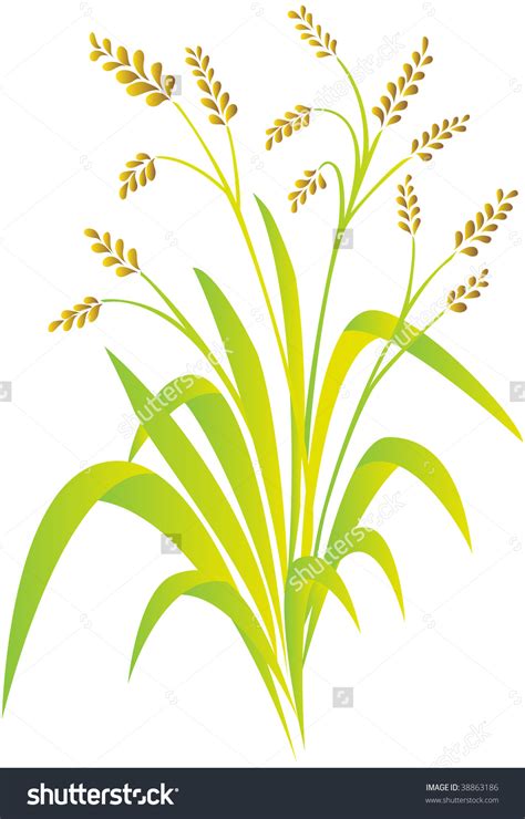 Rice planting clipart 20 free Cliparts | Download images on Clipground 2024