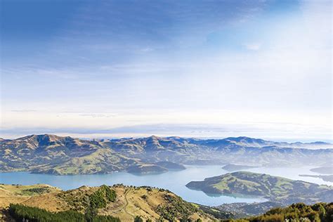 Salmon in Akaroa Harbour - The Fishing Website