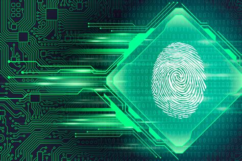 Explanation on automated fingerprints identification system — EUAM Ukraine