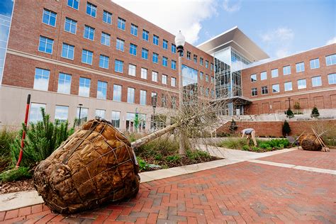 New growth: UAB’s Tree Campus honors expand to medical center - The Reporter | UAB