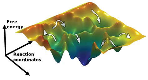 Single Molecule Protein Dynamics | The Haran Group