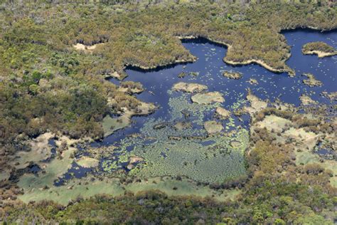 Patterned Fen of Jabiru Swamp, Fraser Island, Great Sandy National Park Queensland | Fraser ...