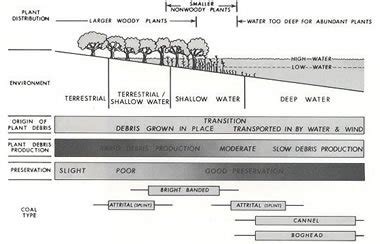 Coal: Anthracite, Bituminous, Coke, Pictures, Formation, Uses