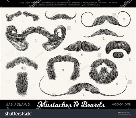 Vector set with mustaches and beards. Hand drawn illustration with fashionable men's styles. Lin ...