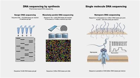 DNA Sequencing | IASbaba