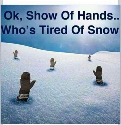 Cold Weather Funny, Cold Weather Quotes, Snow Meme, Snow Humor, Winter ...