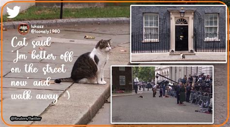 Larry the cat spotted outside 10 Downing Street after Liz Truss named ...