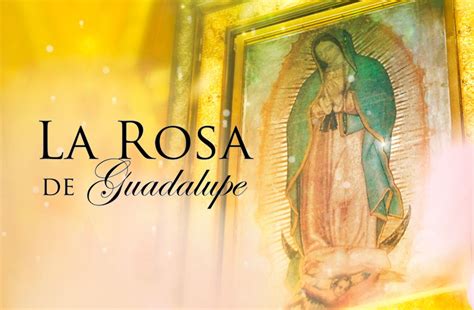 Univision recibe bendición de ‘La Rosa de Guadalupe’ y el airecito los lleva a dominar el ...