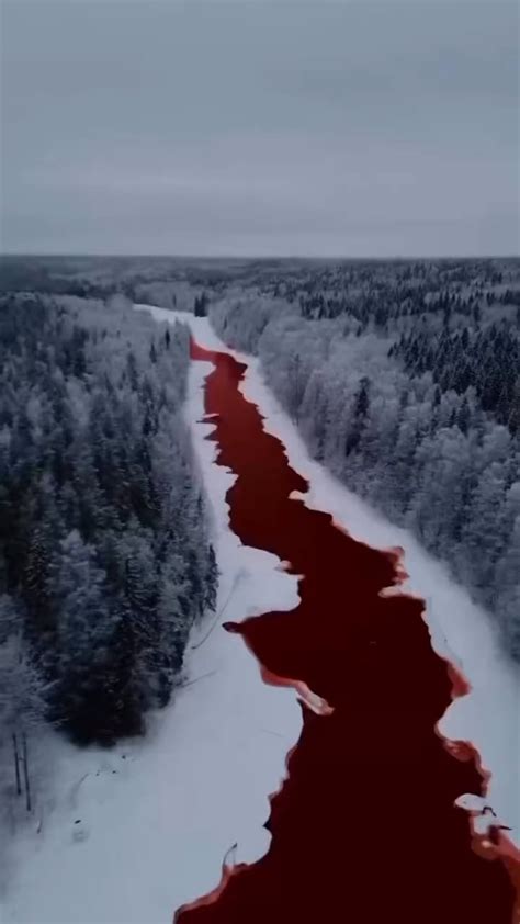 The Iskitimka River in Siberia, has turned beetroot red after an ...