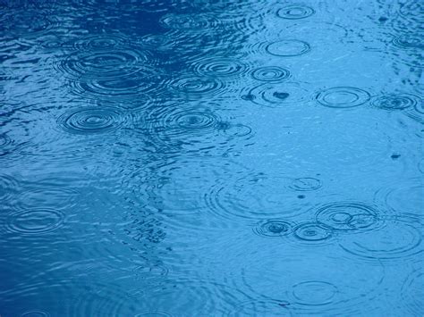 File:Raindrops on water.jpg - Wikimedia Commons
