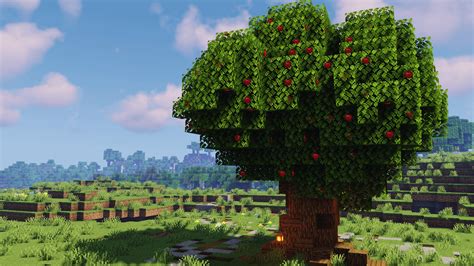 Vanilla Apple Tree in Minecraft : r/Minecraft