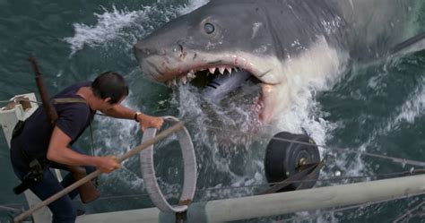 Cocaine Bear Director Comments On Potential "Jaws With Cocaine" Shark Movie - GameSpot