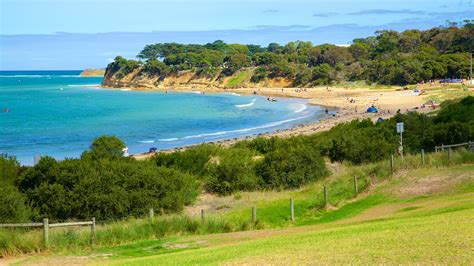 Torquay Holidays: Cheap Torquay Holiday Packages & Deals | Expedia.com.au