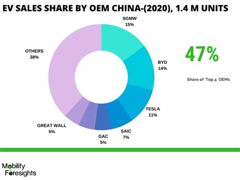 China Electric Vehicle Market 2020-2025 | May 2021 Updated