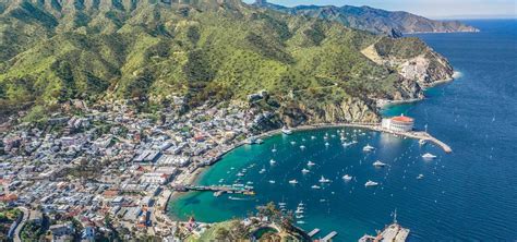 Isla Santa Catalina, California - MundoBRG Magazine