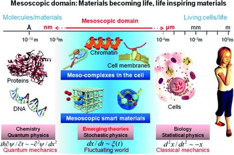 Mesoscopic science, where materials become life and life inspires materials. A great opportunity ...