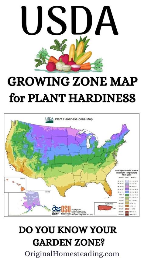 USDA Growing Zones Map of the USA: Helpful Garden Information | Growing zones map, Planting ...