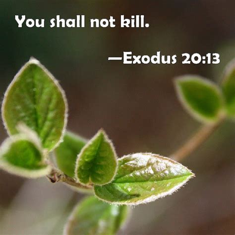 Exodus 20:13 You shall not kill.