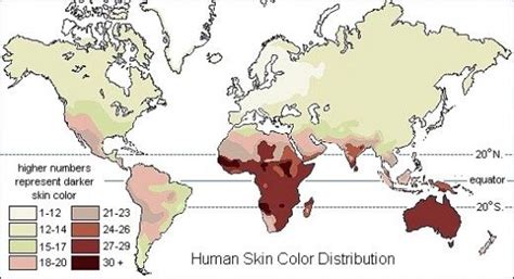 Did Skin Color Evolve as an Adaptation to Sunlight Intensity? | Skin color, Human skin color, Skin