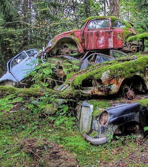 Hundreds of abandoned old cars in the forest, Båstad, Sweden | by ...