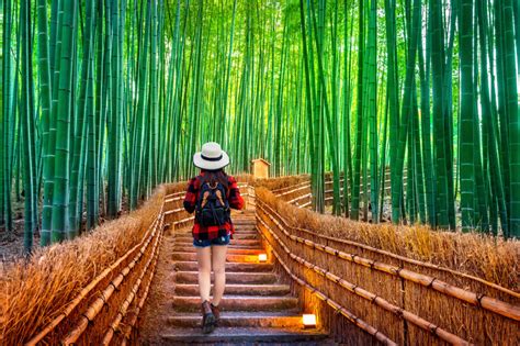 TOP 50 Things to do in Kyoto: Must See, Must Do & Must Experience Activities (2024 Edition ...