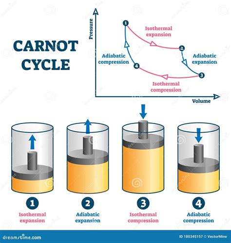 Carnot Cycle Vector Illustration. Labeled Educational Thermodynamic Scheme Stock Vector ...