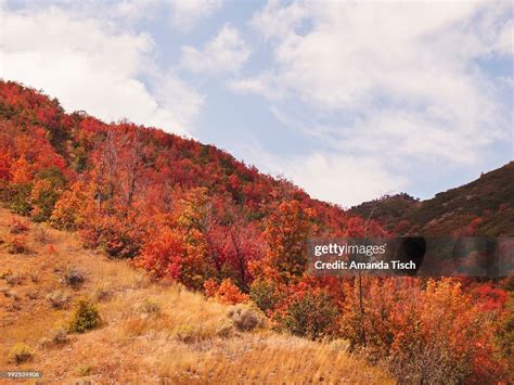 Dreamy Landscapes High-Res Stock Photo - Getty Images