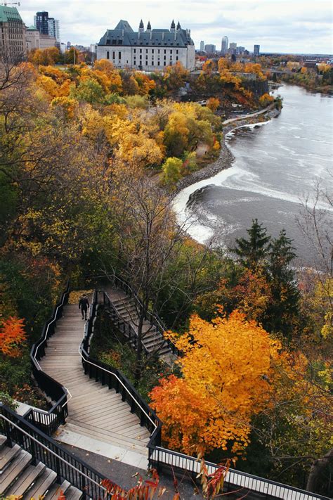 An Autumnal view of the Ottawa River 🍁 : r/ottawa