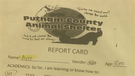 Putnam County Animal Shelter hires director, enters partnership with Kanawha-Charleston Humane ...