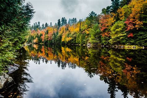 Best Fall Foliage in the Northeast