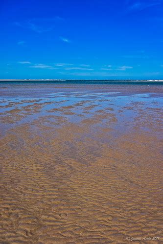 Murray River Mouth | On Hindmarsh Island, near Goolwa, South… | Flickr