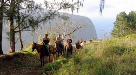 Horseback Ride Above Waipio Valley with Waterfall Swim - YoNinja ...